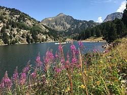 ETANG DES BESSINES 1