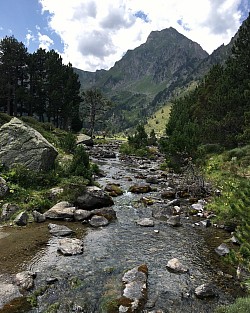 ETANG DU LAURENTI 1