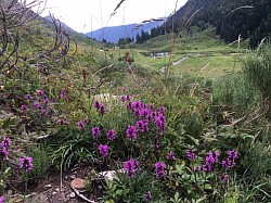 ETANG DE COMTE  - Merens-les-vals