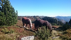 COL DE PAILHERES - RANDONNEE ETANG DE RABASSOLLES