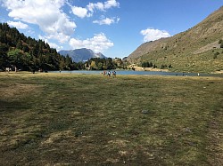 ETANG DE FONT VIVE - PORTE PUYMORENS 1