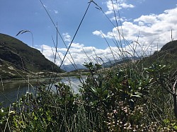 ETANG D'ARBU - PYRENNES ARIEGEOISES