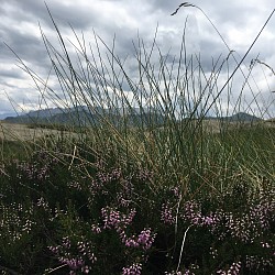 ETANG D'ARBU - VU SUR LE MASSIF DES PYRENNES ESPAGNOLES