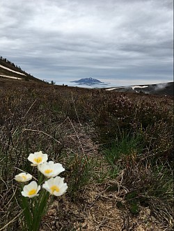 COL DE PAILLHERES - AX - ARIEGE